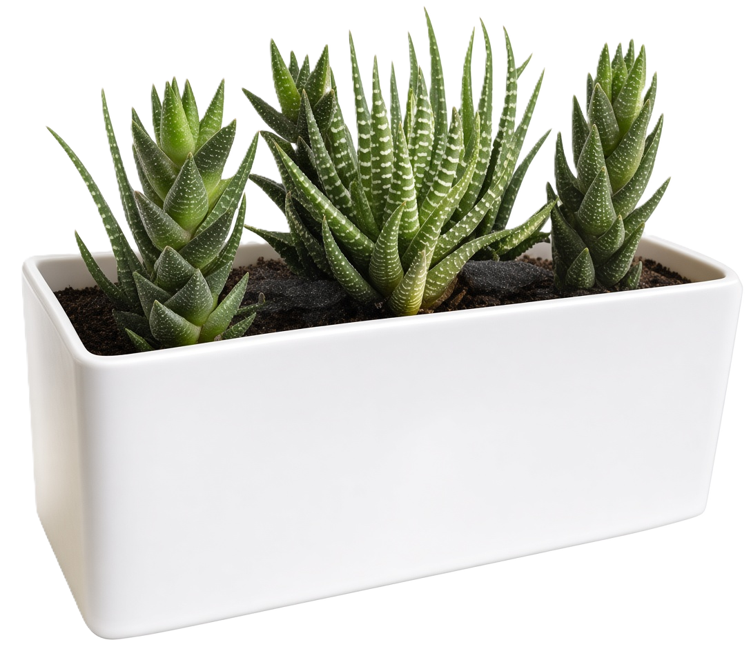 FRP Planter L-30"xW-12"x H-12" - L-42"xW-14"x H-14"